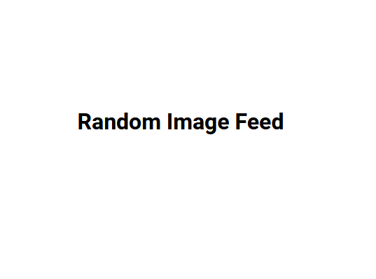 Random Image Feed