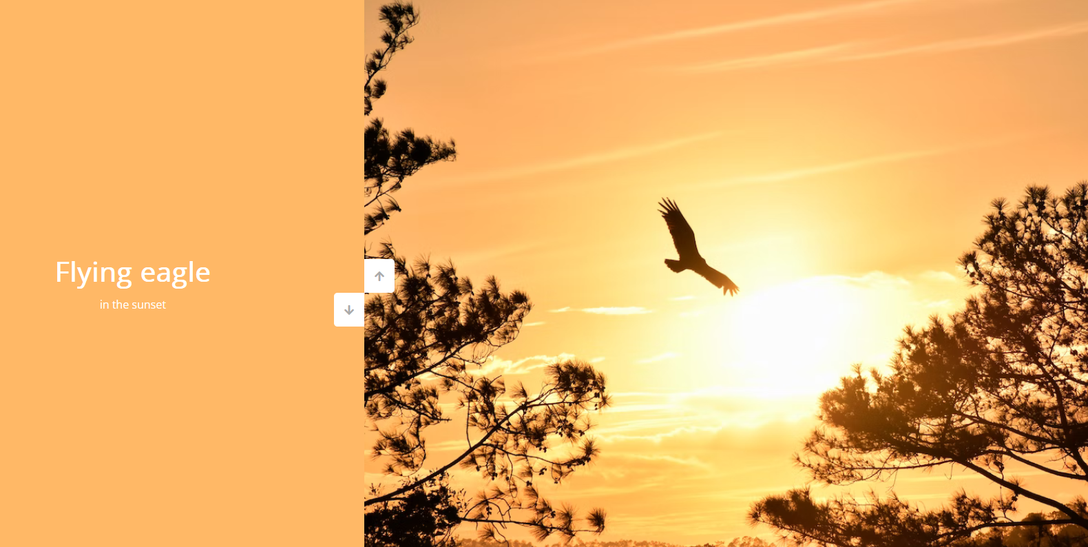 Vertical Slider